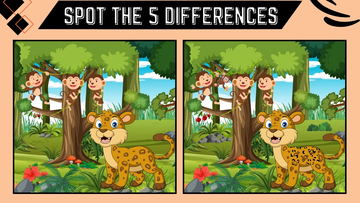 Spot the 5 Difference Picture Puzzle Game: Only 20/20 Vision Can Spot the 5 Differences in this Cheetah and Monkey Image in 12 Secs