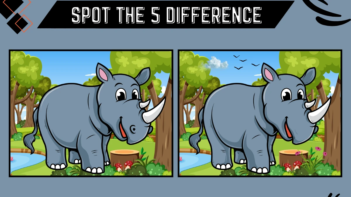 Spot the 5 Difference Picture Puzzle Game: Only Eagle Eyes Can Spot the 5 Differences in this Rhino Image in 12 Secs