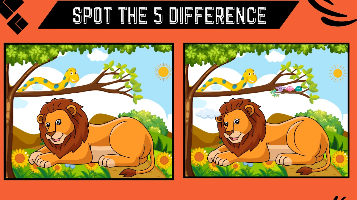 Spot the 5 Difference Picture Puzzle Game: Only Extra Sharp Eyes Can Spot the 5 Differences in this Lion Image in 12 Secs