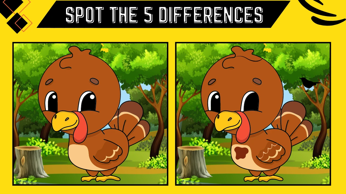 Spot the 5 Difference Picture Puzzle Game: Only Sharp Eyes Can Spot the 5 Differences in this Turkey Image in 12 Secs
