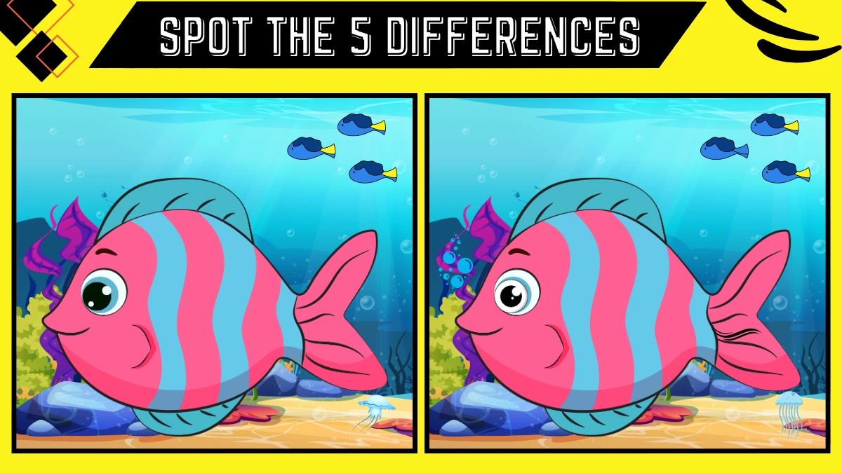 Spot the 5 Difference Picture Puzzle Game: Prove your Sharp Eyes by Spotting the 5 Differences in this Fish Image in 10 Secs