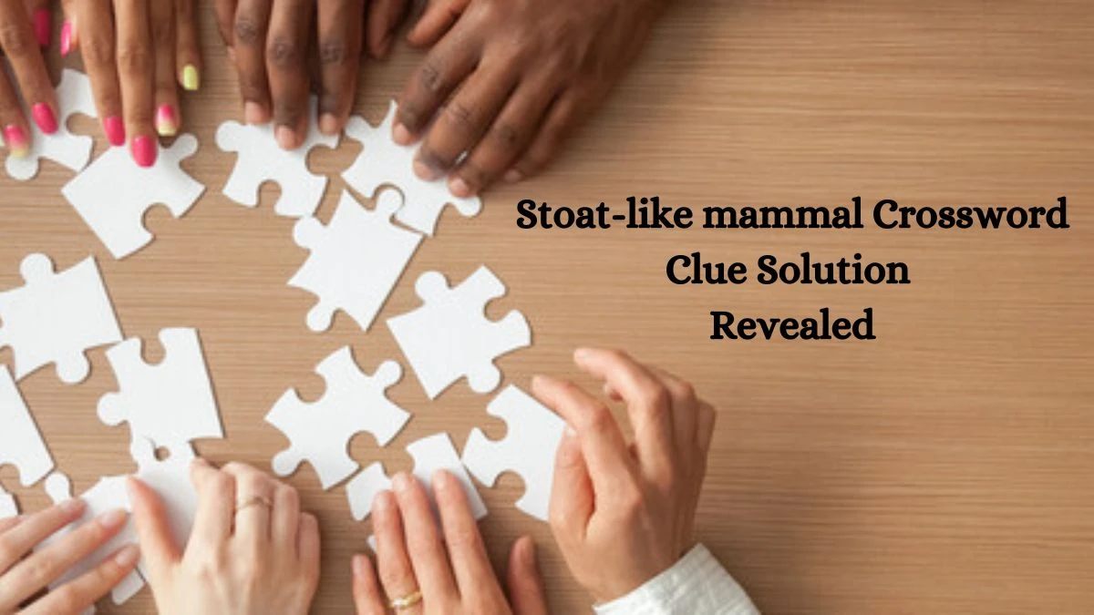 Stoat-like mammal Crossword Clue Solution Revealed