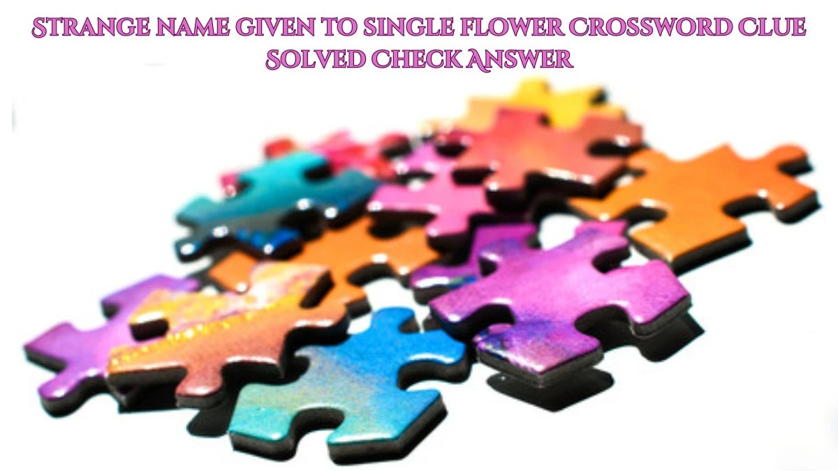 Strange name given to single flower Crossword Clue Solved Check Answer