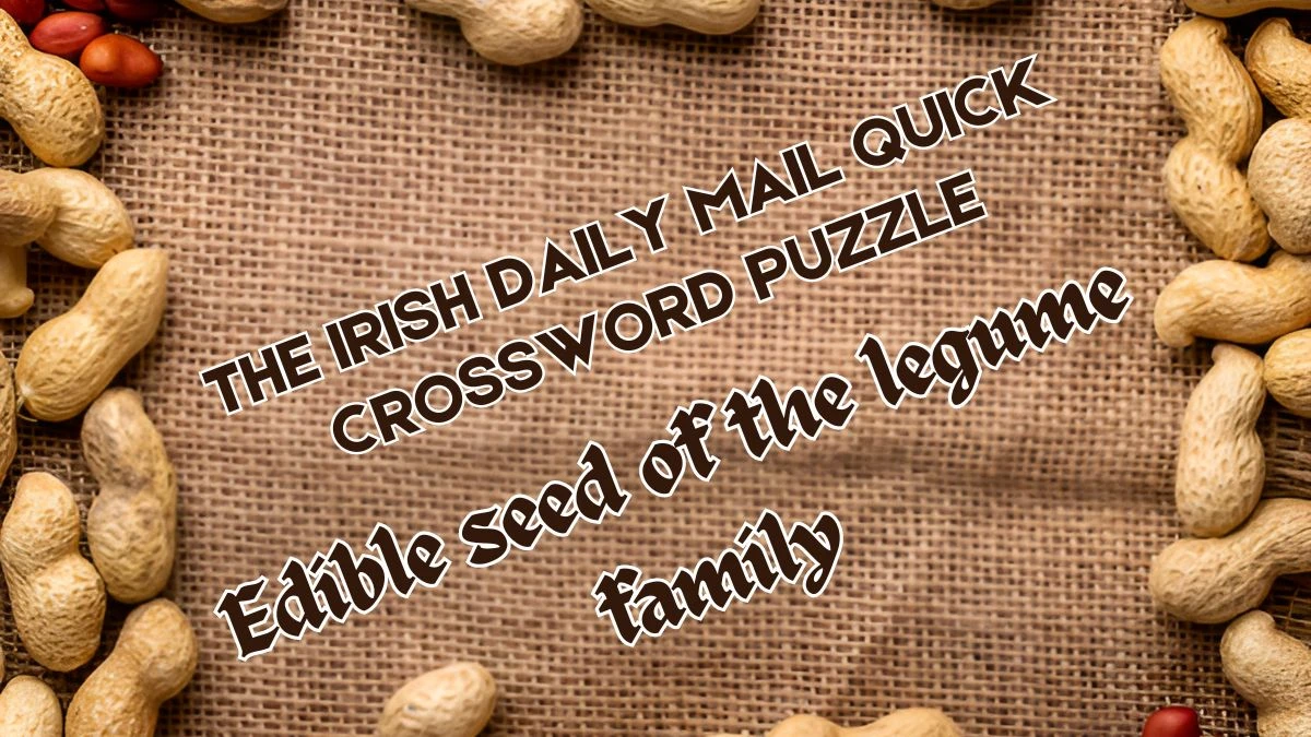 The Irish Daily Mail Quick Crossword Edible seed of the legume family Check the Answer for May 30, 2024
