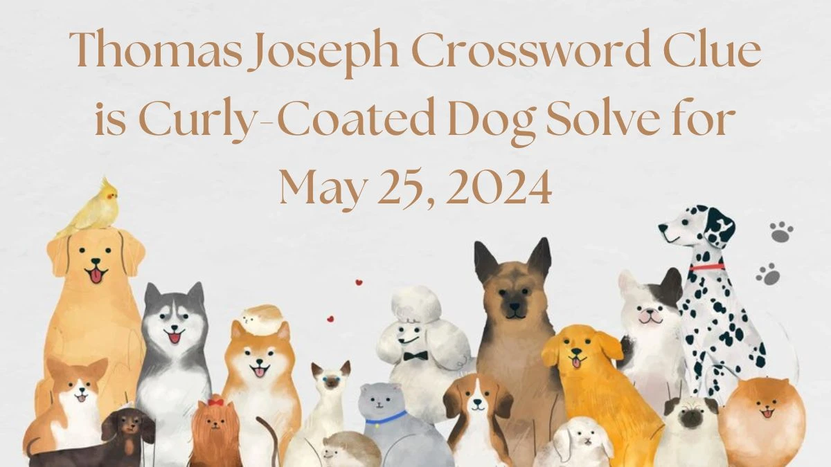 Thomas Joseph Crossword Clue is Curly-Coated Dog Solve for May 25, 2024