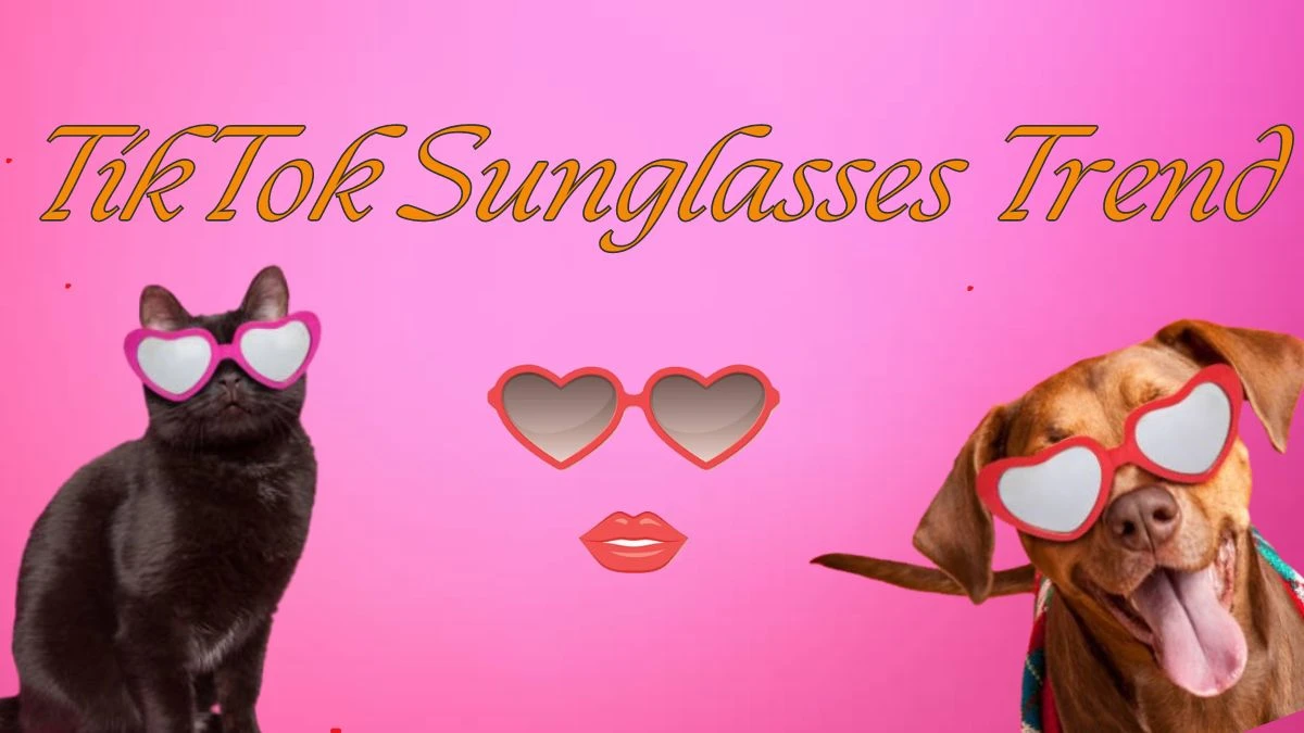 TikTok Sunglasses Trend, How to do the Sunglasses Trend on TikTok?