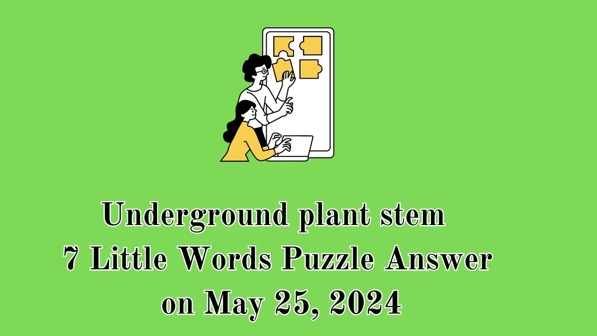 Underground plant stem 7 Little Words Puzzle Answer on May 25, 2024