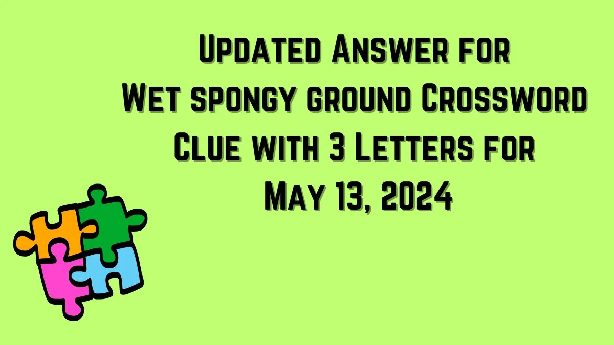 Updated Answer for Wet spongy ground Crossword Clue with 3 Letters for May 13, 2024