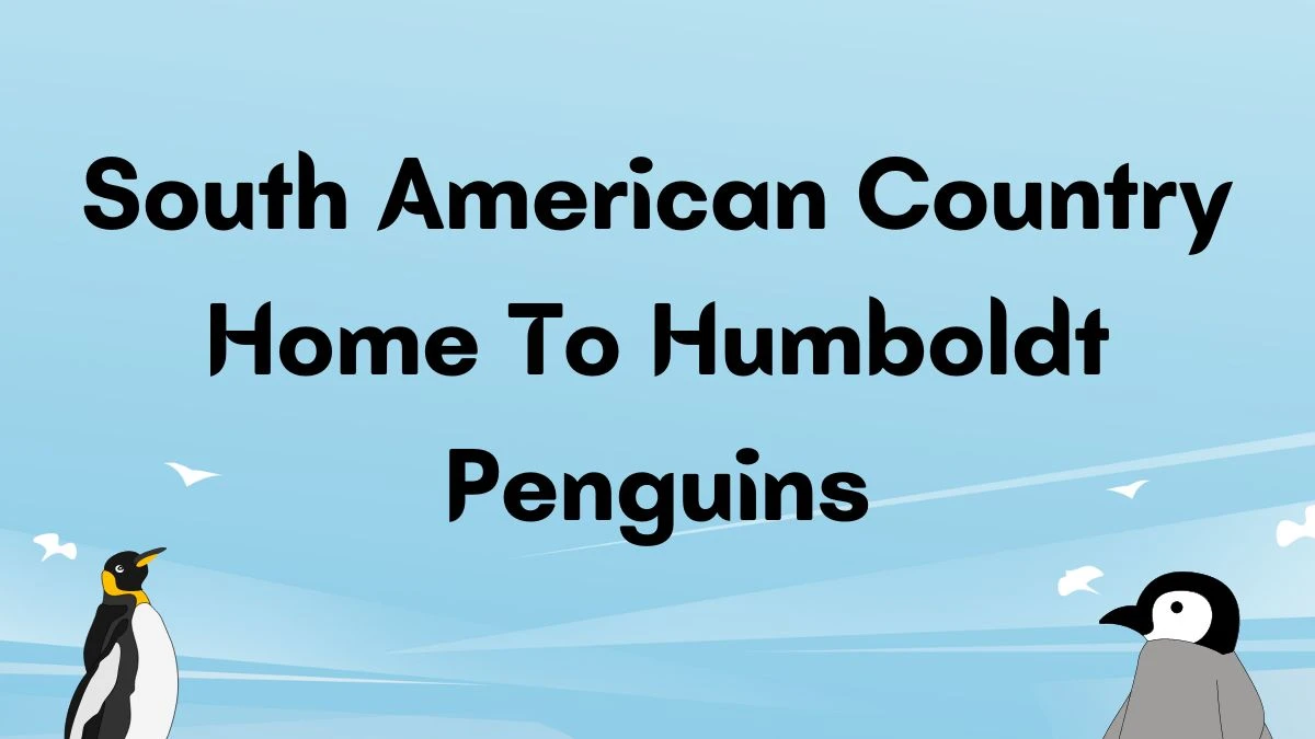 USA Today Crossword Clue South American Country Home To Humboldt Penguins Solution For 28 May 2024