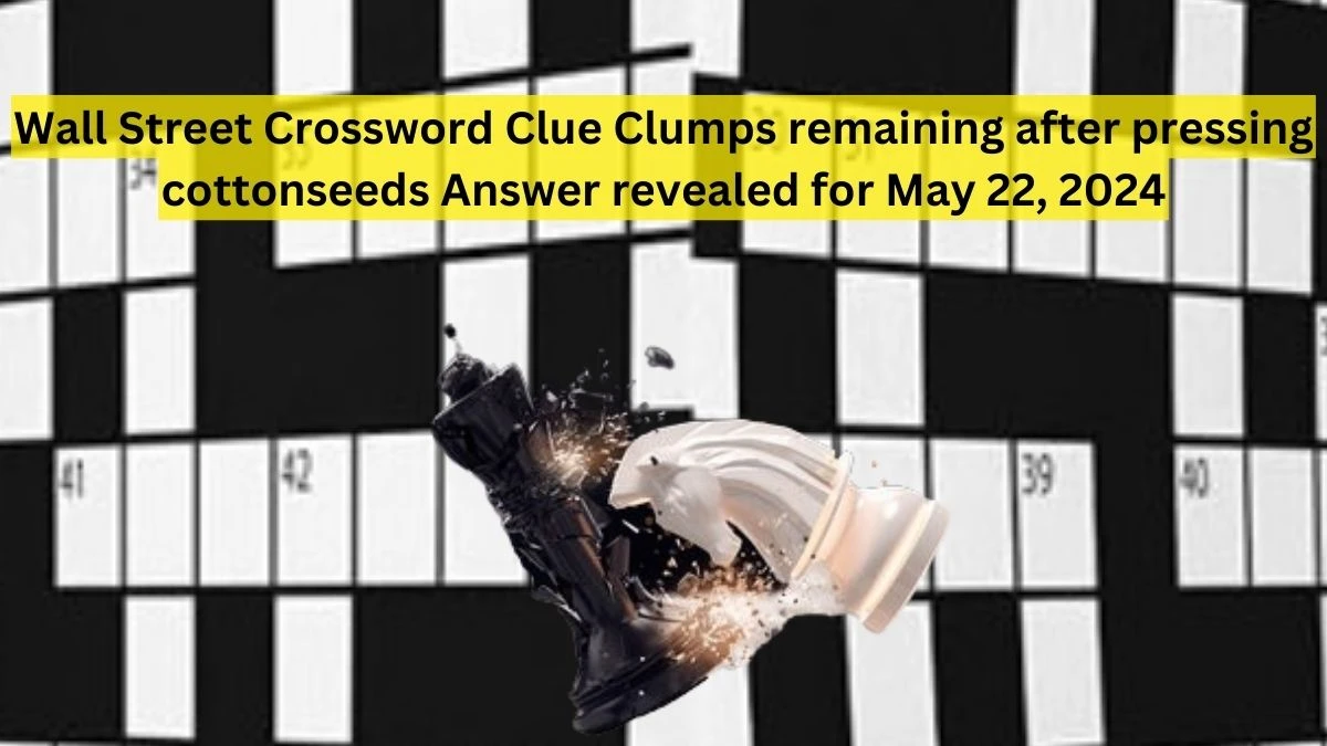 Wall Street Crossword Clue Clumps remaining after pressing cottonseeds Answer revealed for May 22, 2024