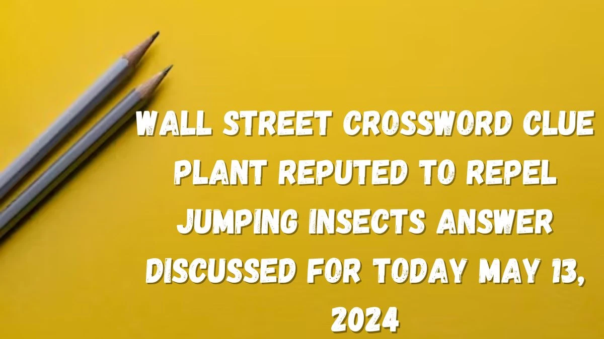 Wall Street Crossword Clue Plant Reputed To Repel Jumping Insects Answer Discussed for Today May 13, 2024