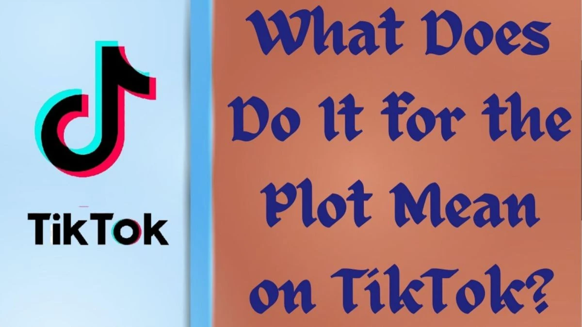 What Does Do It for the Plot Mean on TikTok?