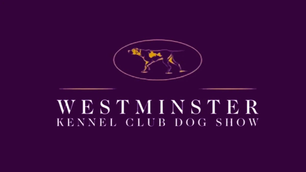 Who Won Westminster Dog Show 2024? How to Watch Westminster Dog Show