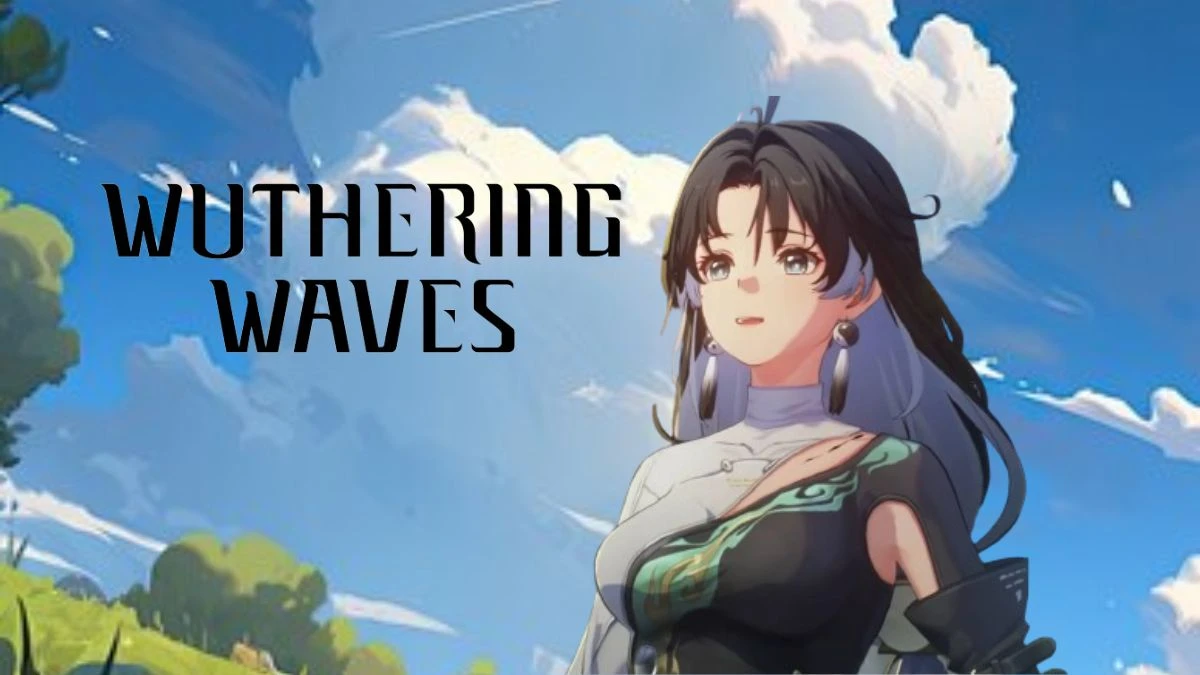 Wuthering Waves Characters Tier List