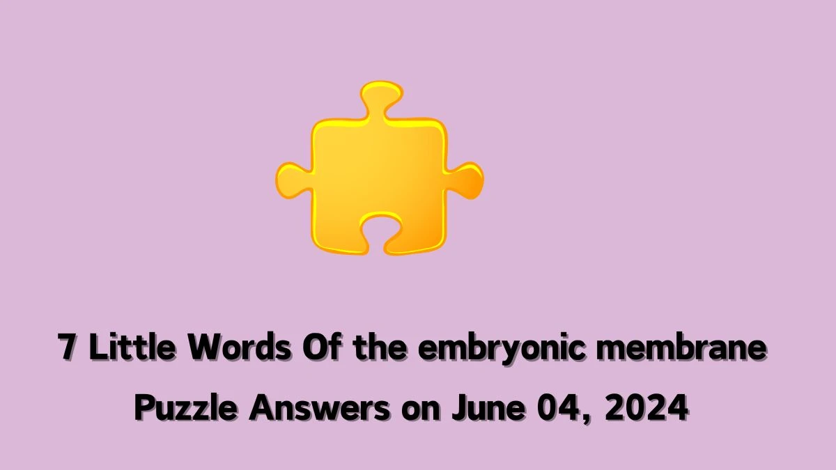 7 Little Words Of the embryonic membrane Puzzle Answers on June 04, 2024