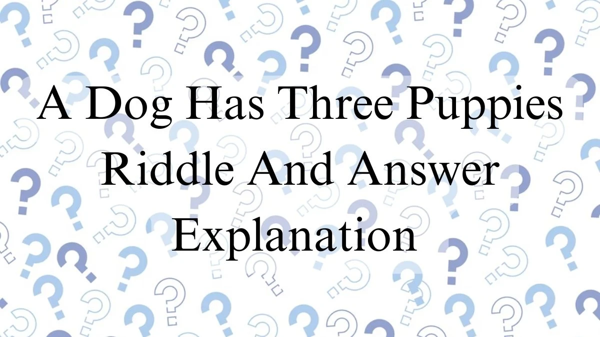 A Dog Has Three Puppies Riddle Answer and Explanation