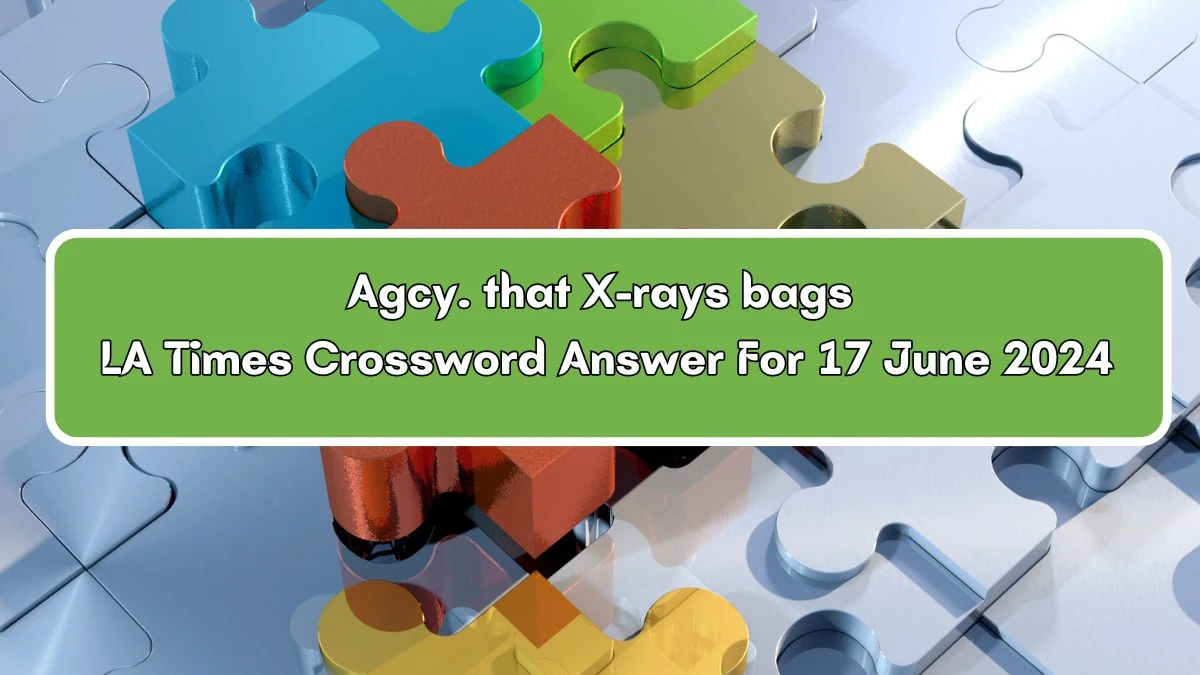 Agcy. that X-rays bags LA Times Crossword Clue Puzzle Answer from June 17, 2024