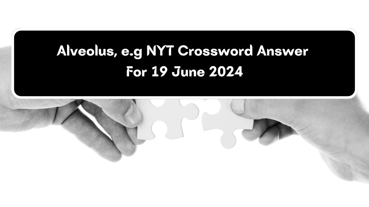 Alveolus, e.g NYT Crossword Clue Puzzle Answer from June 19, 2024