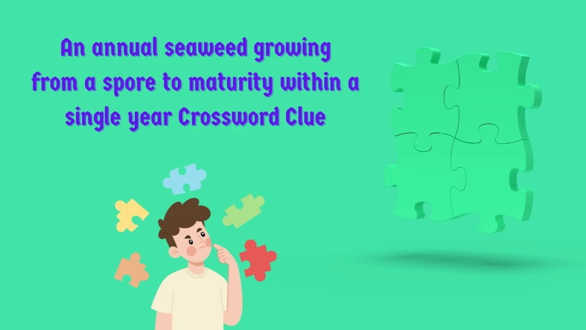 An annual seaweed growing from a spore to maturity within a single year Crossword Clue Puzzle Answer from June 13, 2024