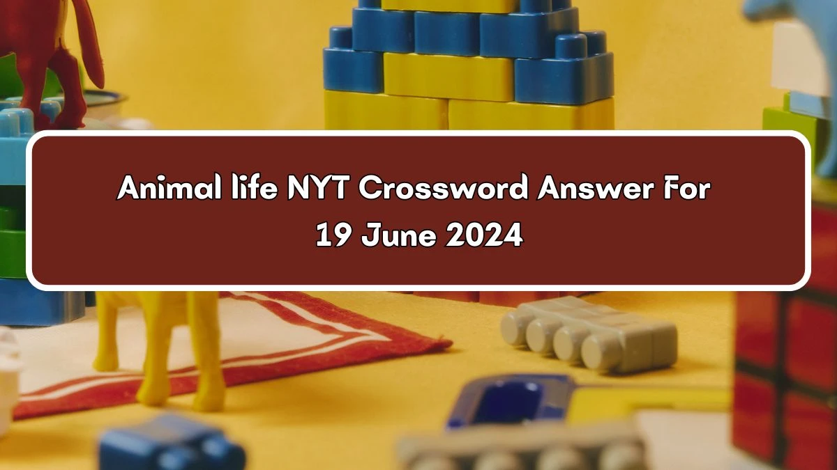 Animal life NYT Crossword Clue Puzzle Answer from June 19, 2024