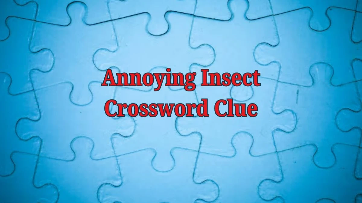 Daily Commuter Annoying Insect Crossword Clue Puzzle Answer from June 19, 2024