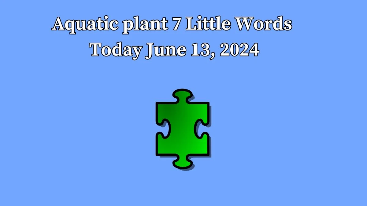 Aquatic plant 7 Little Words Crossword Clue Puzzle Answer from June 13, 2024