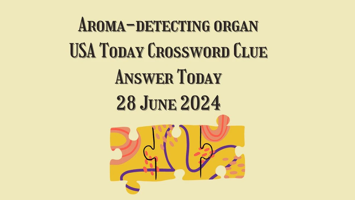 USA Today Aroma-detecting organ Crossword Clue Puzzle Answer from June 28, 2024