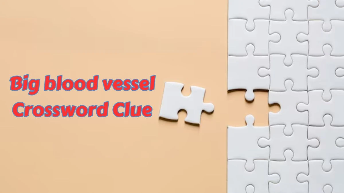 Big blood vessel Daily Commuter Crossword Clue Puzzle Answer from June 28, 2024