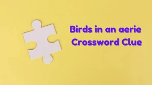 Universal Birds in an aerie Crossword Clue Puzzle Answer from June 19, 2024