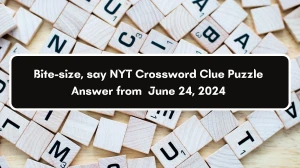 Bite-size, say NYT Crossword Clue Puzzle Answer from June 24, 2024