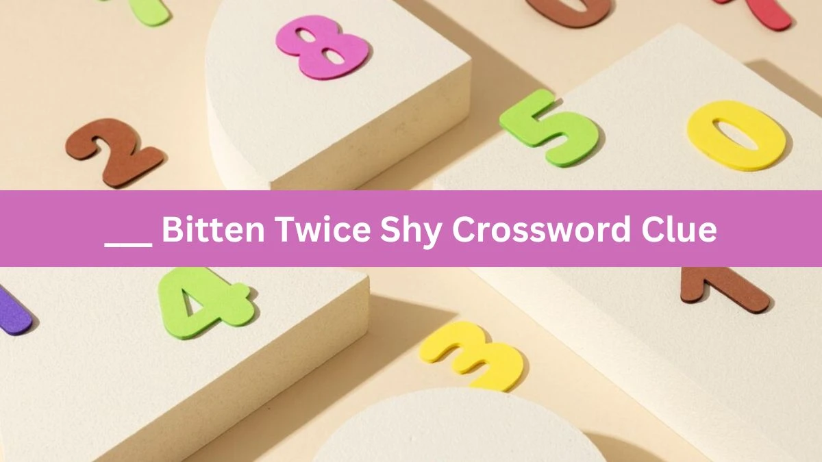 ___ Bitten Twice Shy Daily Themed Crossword Clue Puzzle Answer from June 18, 2024