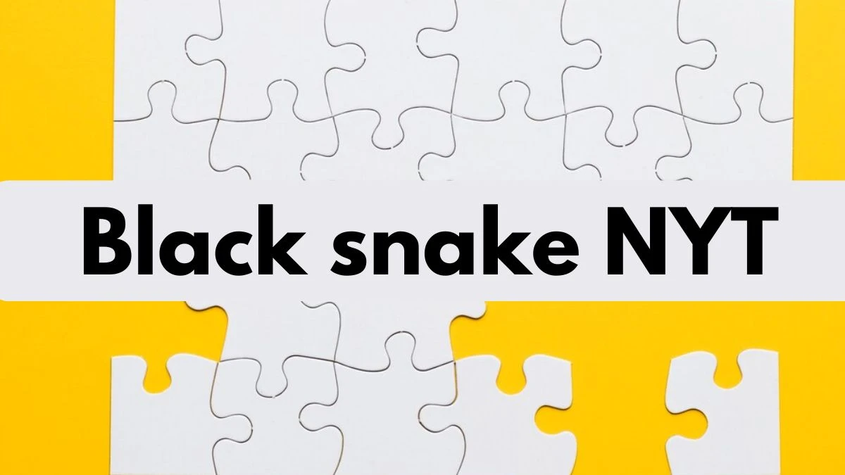 Black ___ (snake) NYT Crossword Clue Puzzle Answer from June 04 2024