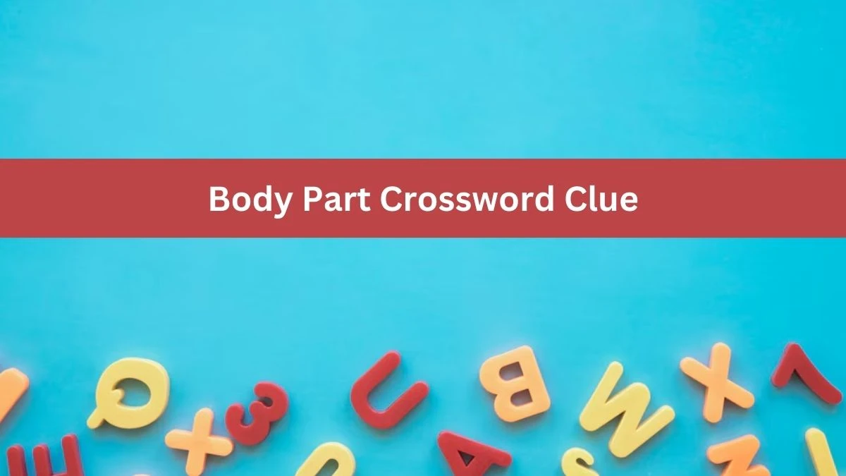 Body Part Crossword Clue Puzzle Answer from June 27, 2024