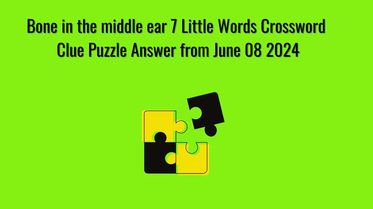 Bone in the middle ear 7 Little Words Crossword Clue Puzzle Answer from June 08 2024