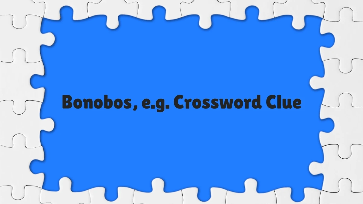 Bonobos, e.g. NYT 4 Letters Crossword Clue Puzzle Answers on June 01, 2024