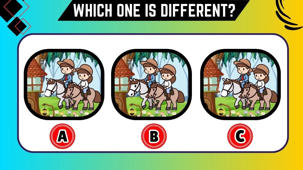 Brain Teaser: Only people with detective skills can spot the different one in 15 Secs | Observation Brain Challenge