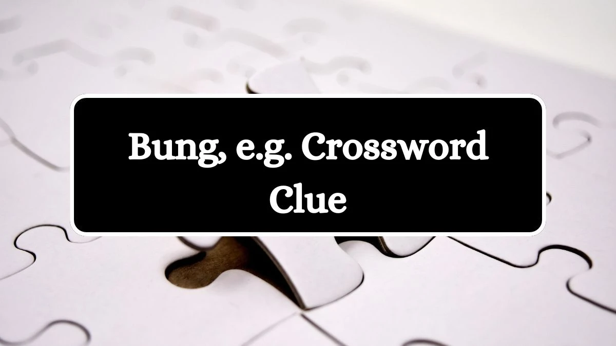 Bung, e.g. NYT Crossword Clue Puzzle Answer from June 22, 2024