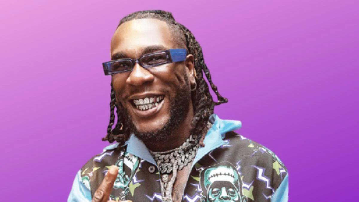 Burna Boy Net Worth in 2024 How Rich is He Now?