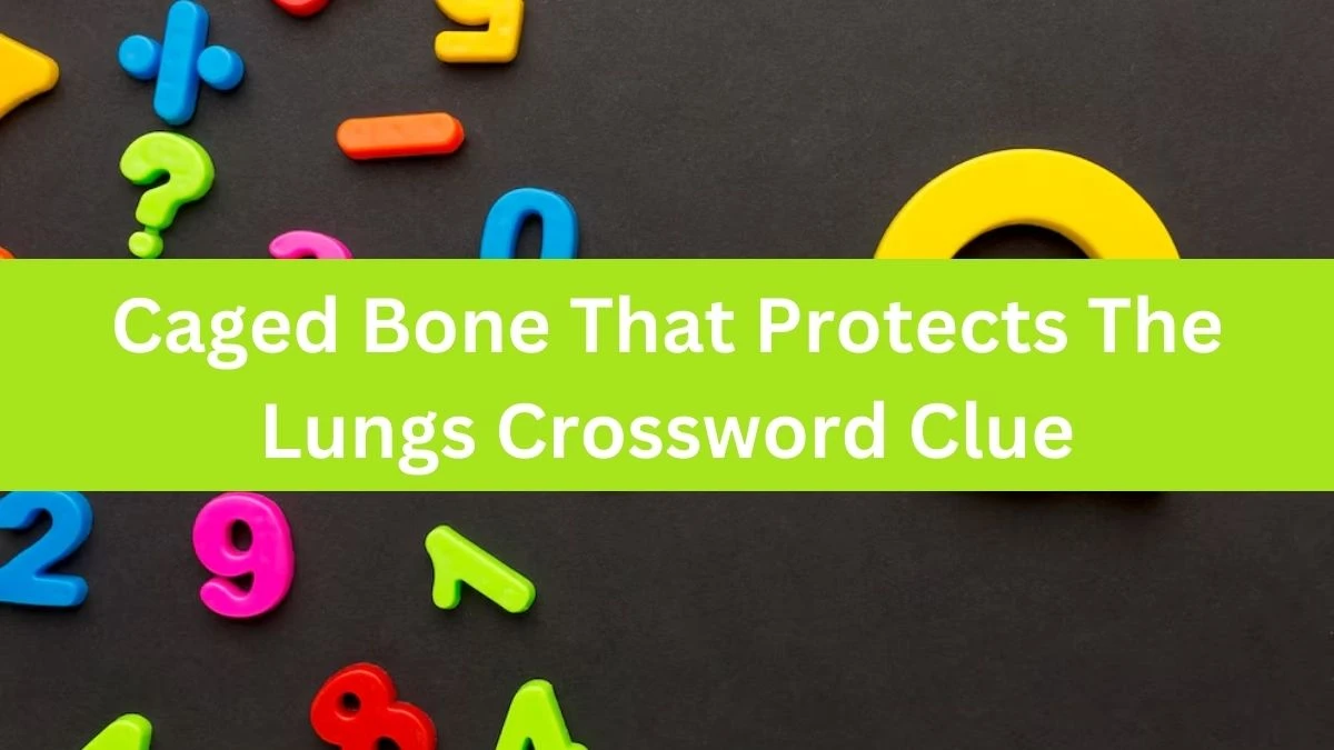 Caged Bone That Protects The Lungs Daily Themed Crossword Clue Puzzle Answer from June 14, 2024