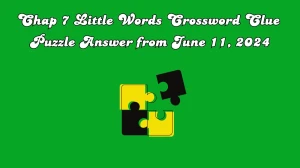 Chap 7 Little Words Crossword Clue Puzzle Answer from June 11, 2024