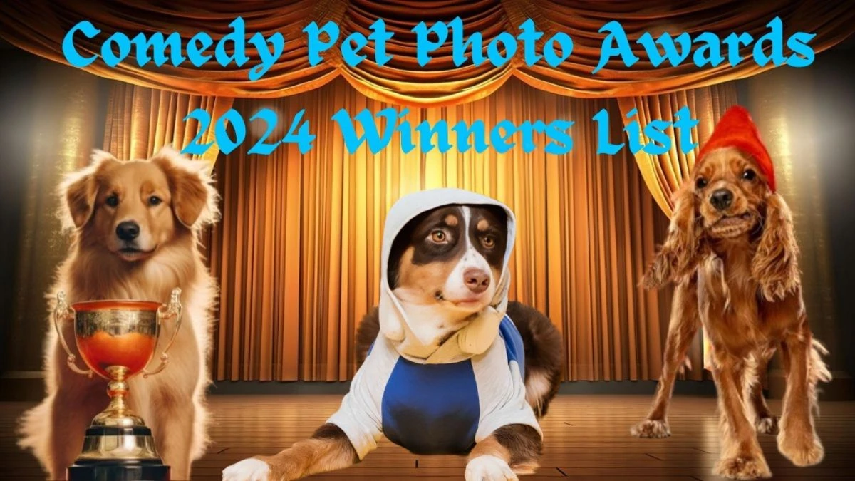Comedy Pet Photo Awards 2024 Winners List