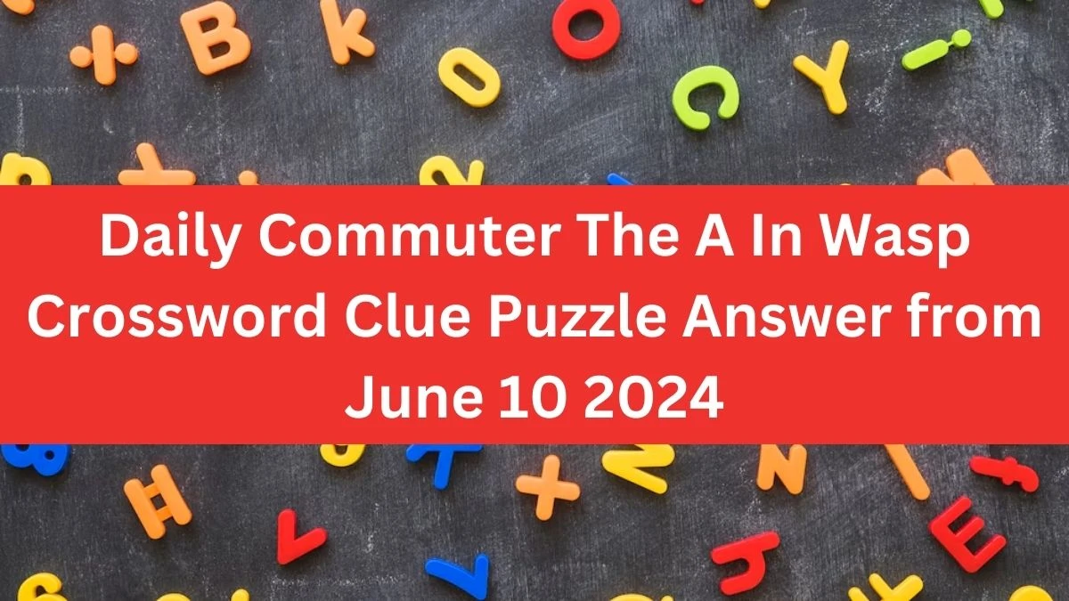 Daily Commuter The A In Wasp Crossword Clue Puzzle Answer from June 10 2024