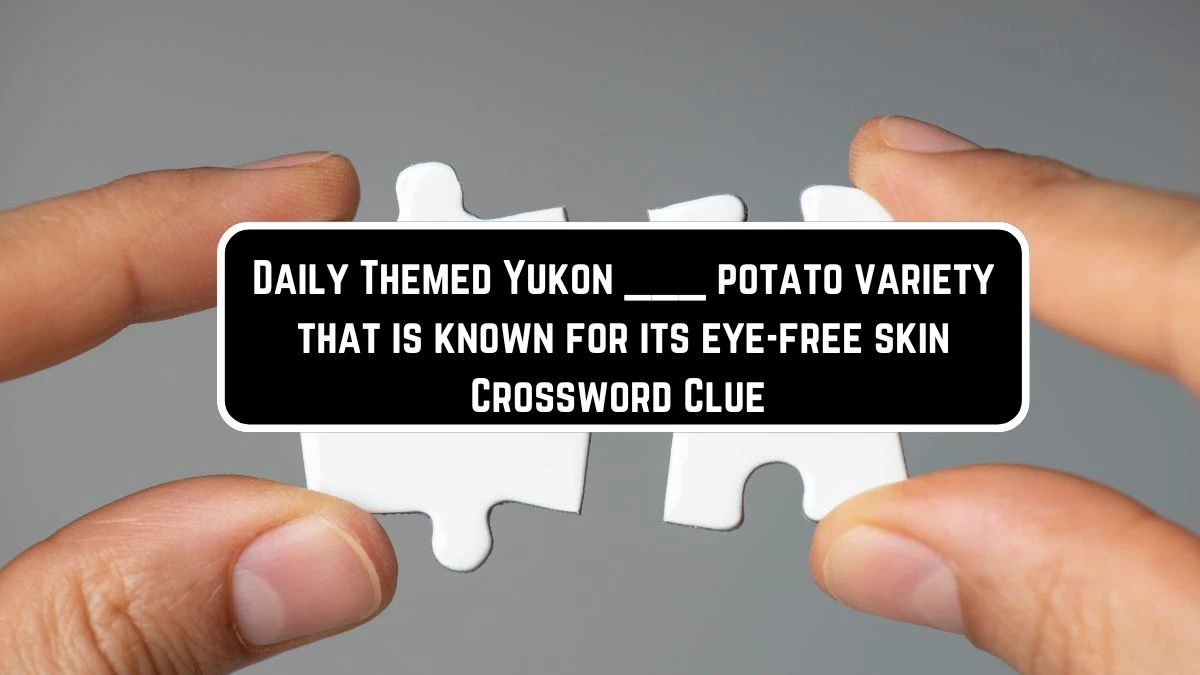 Daily Themed Yukon ___ potato variety that is known for its eye-free skin Crossword Clue