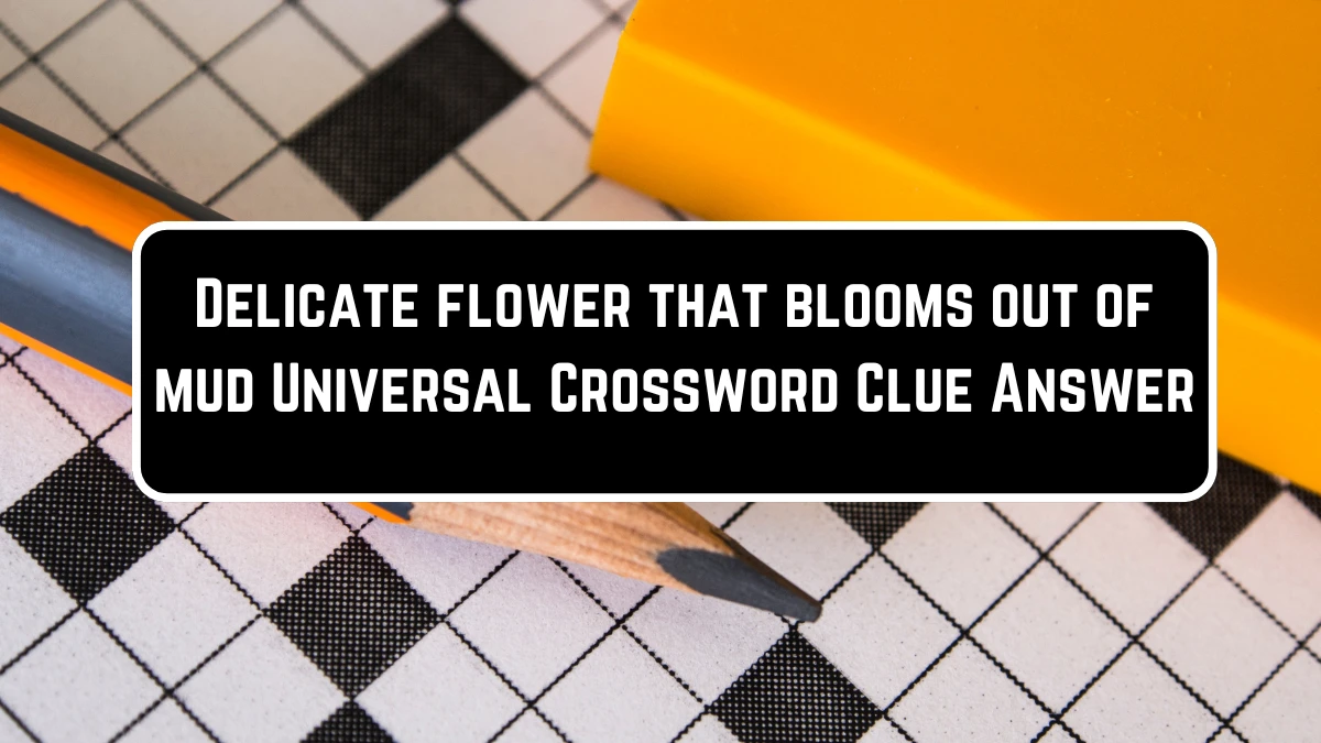 Delicate flower that blooms out of mud Universal Crossword Clue Puzzle Answer from June 23, 2024