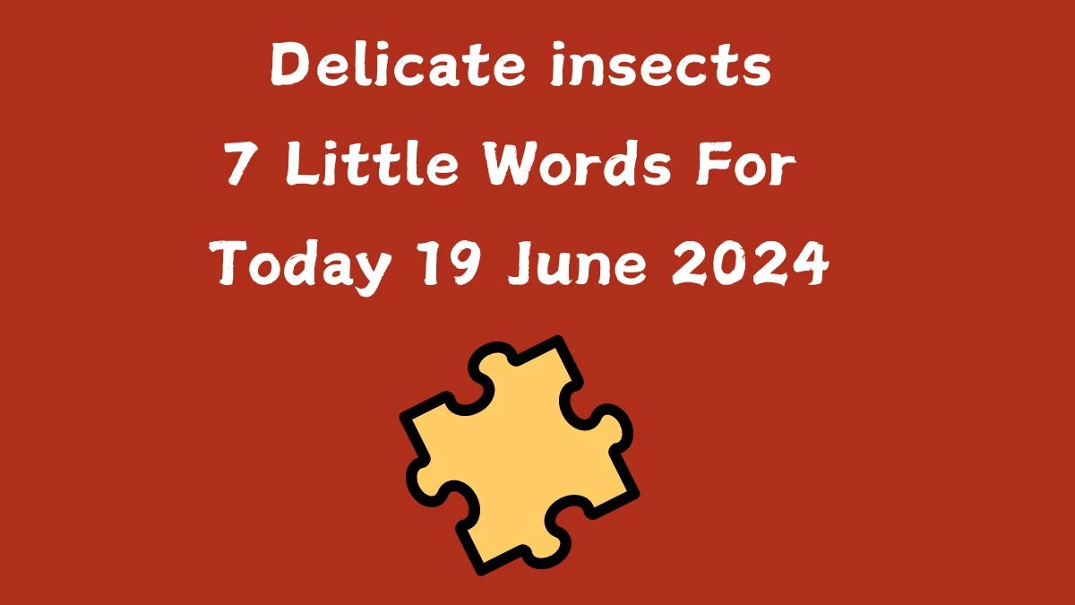 Delicate insects 7 Little Words Puzzle Answer from June 19, 2024