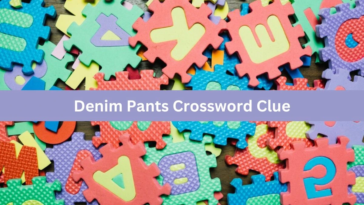 Denim Pants Daily Themed Crossword Clue Puzzle Answer from June 18, 2024