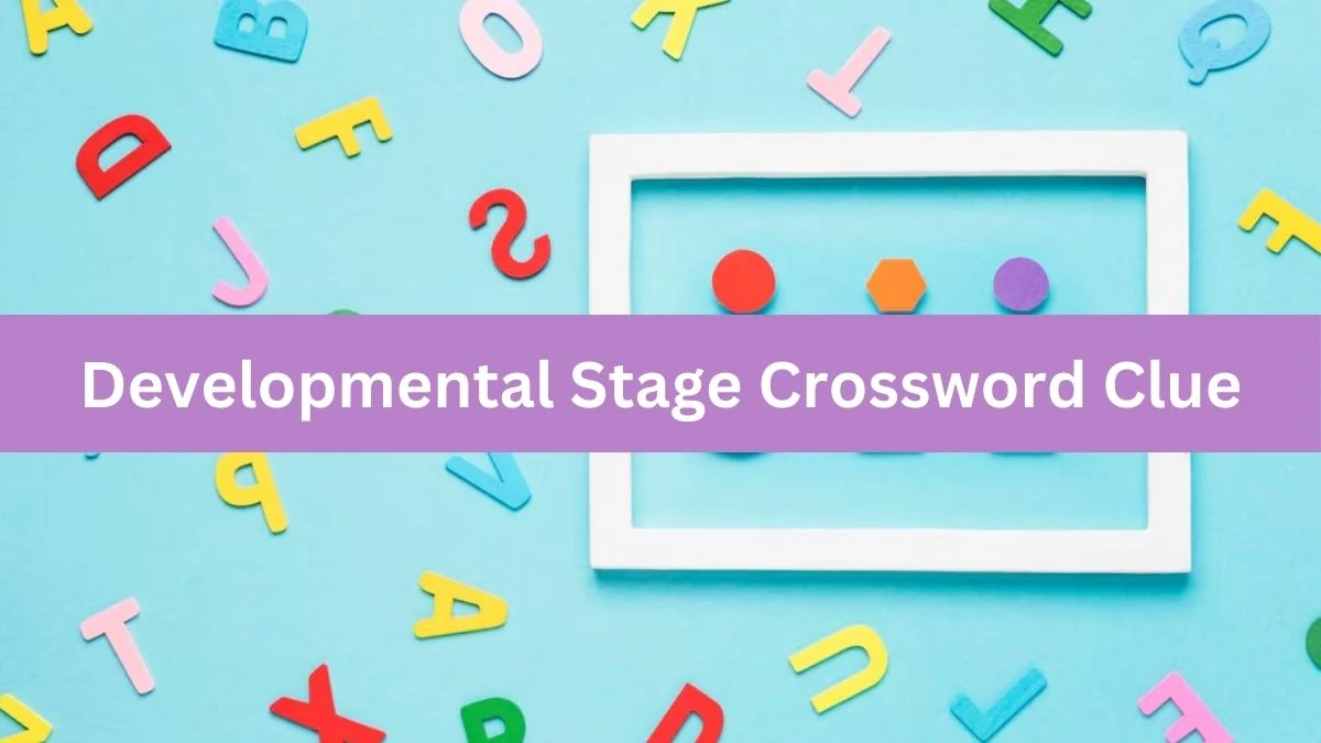Developmental Stage Daily Commuter Crossword Clue Puzzle Answer from June 29, 2024