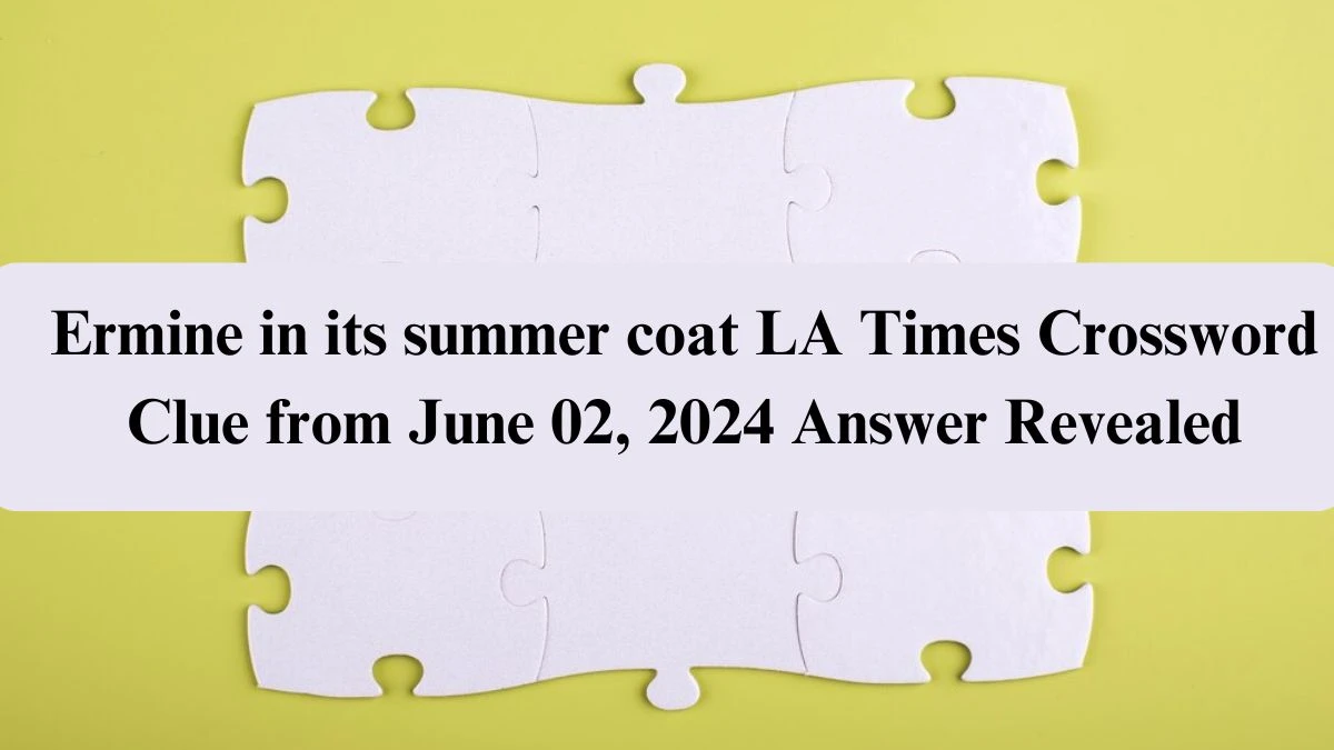 Ermine in its summer coat LA Times Crossword Clue from June 02, 2024 Answer Revealed