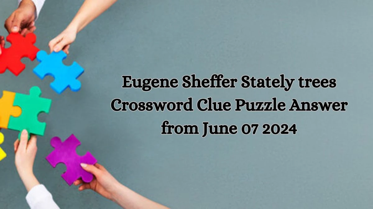 Eugene Sheffer Stately trees Crossword Clue Puzzle Answer from June 07 2024