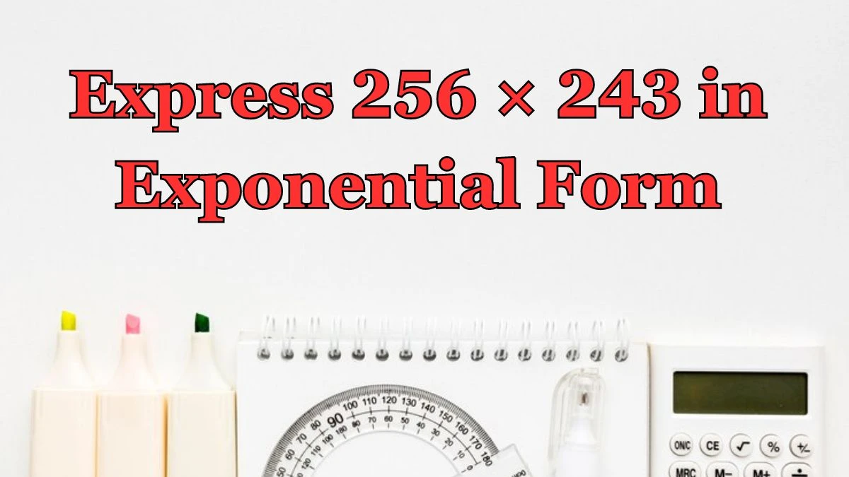 Express 256 × 243 in Exponential Form